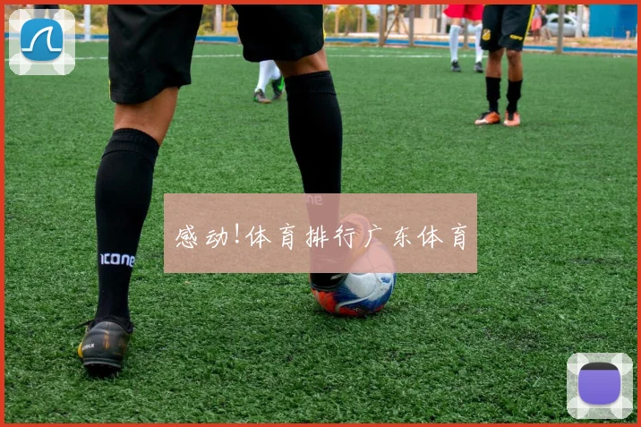 感动!体育排行广东体育