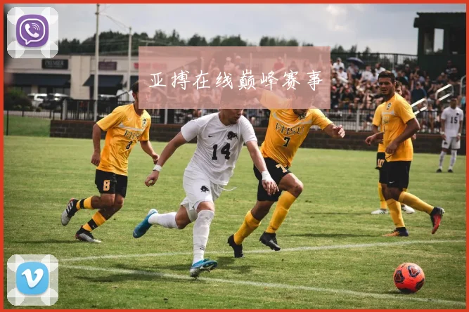 亚搏在线巅峰赛事