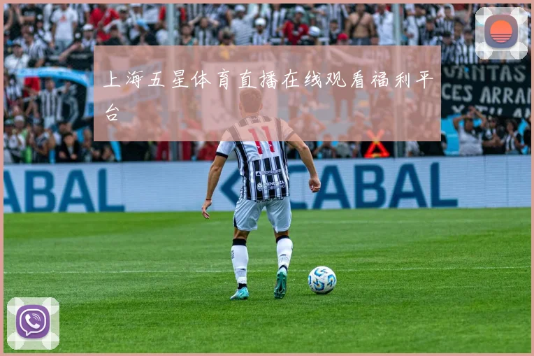 上海五星体育直播在线观看福利平台