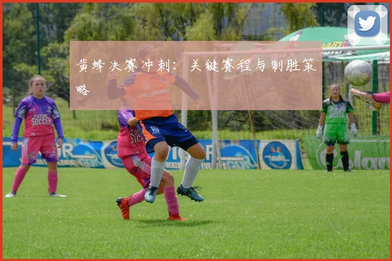 黄蜂决赛冲刺：关键赛程与制胜策略