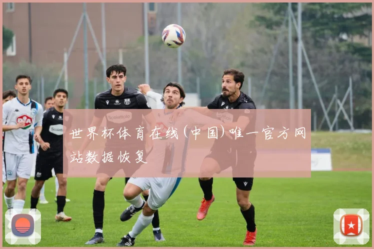 世界杯体育在线(中国)唯一官方网站数据恢复