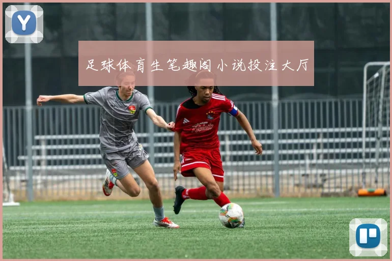 足球体育生笔趣阁小说投注大厅