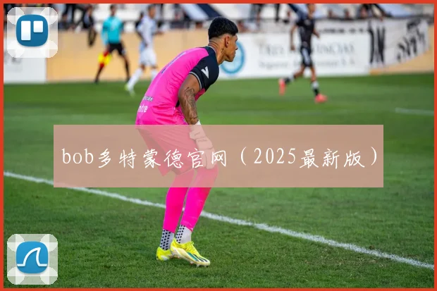 bob多特蒙德官网（2025最新版）
