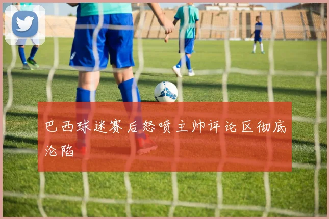 巴西球迷赛后怒喷主帅评论区彻底沦陷