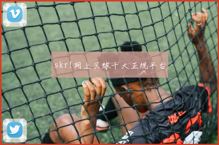 skr!网上买球十大正规平台