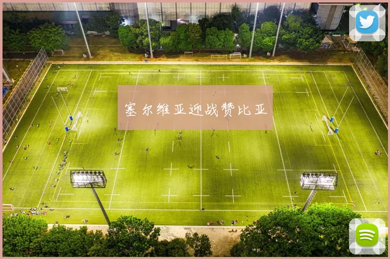 塞尔维亚迎战赞比亚