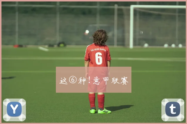 这⑥种!意甲联赛
