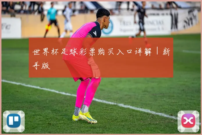 世界杯足球彩票购买入口详解｜新手版