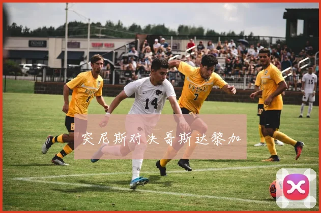 突尼斯对决哥斯达黎加