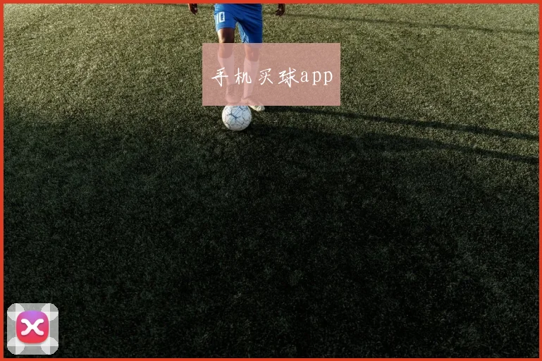 手机买球app