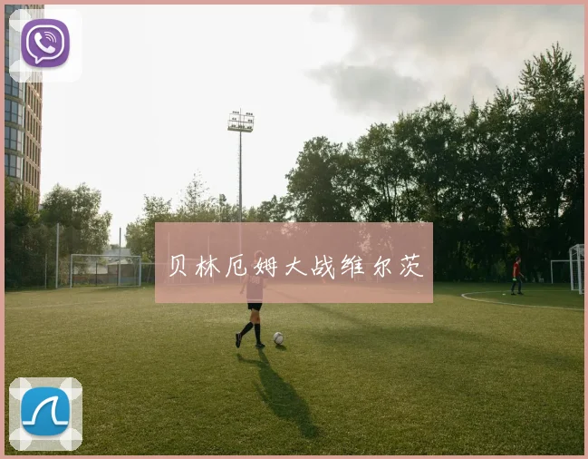 贝林厄姆大战维尔茨
