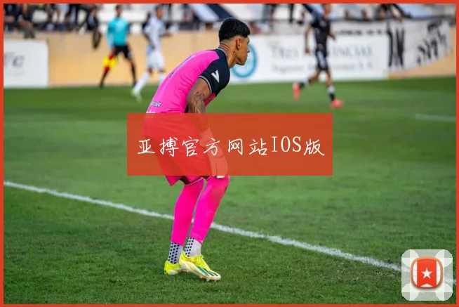 亚搏官方网站IOS版