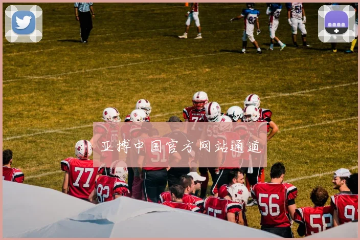 亚搏中国官方网站通道