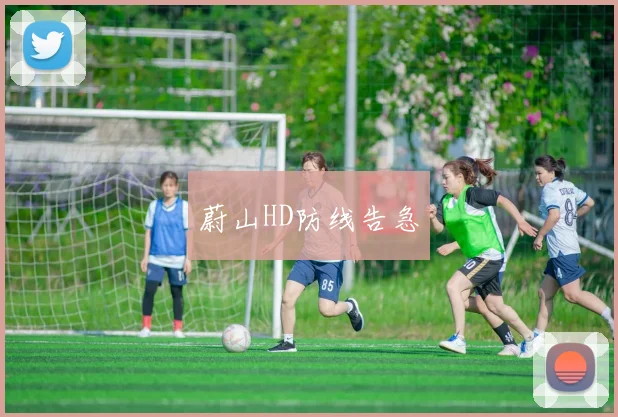 蔚山HD防线告急