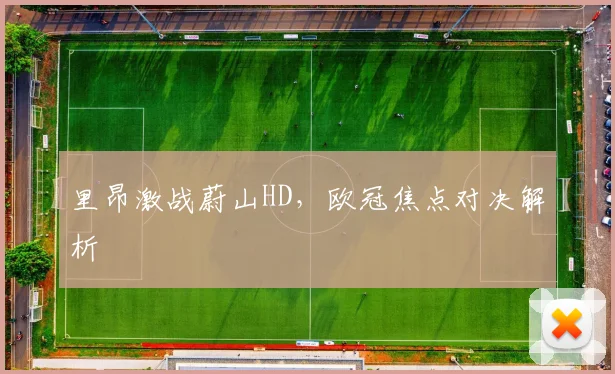 里昂激战蔚山HD，欧冠焦点对决解析