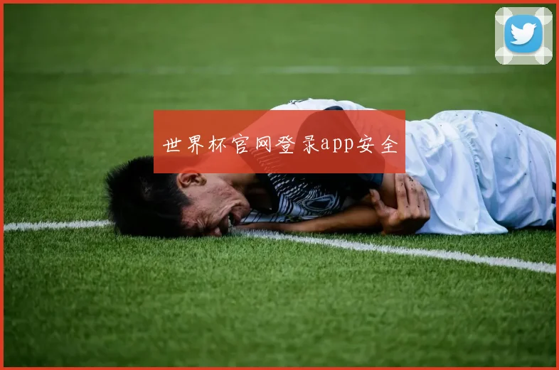 世界杯官网登录app安全