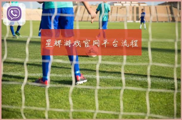 星辉游戏官网平台流程