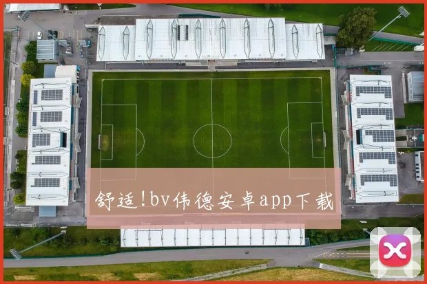 舒适!bv伟德安卓app下载