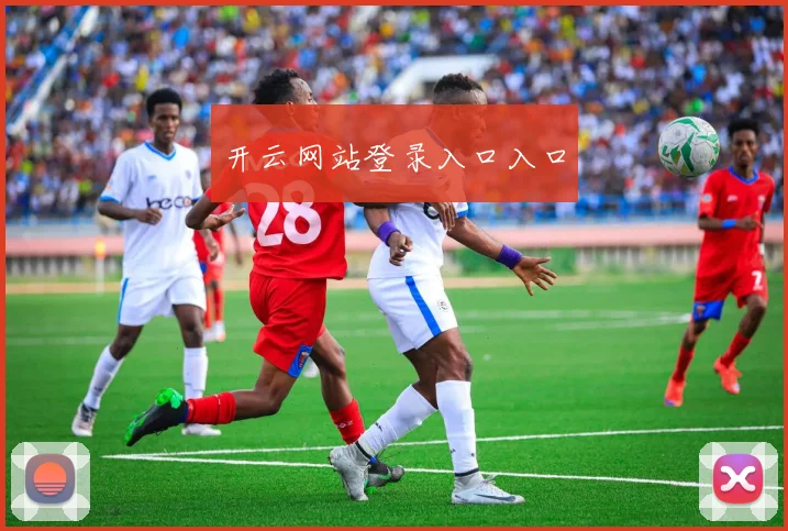 开云网站登录入口入口