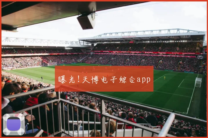 曝光!天博电子综合app