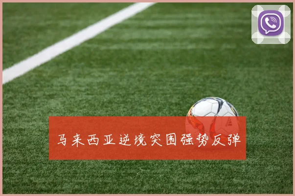 马来西亚逆境突围强势反弹