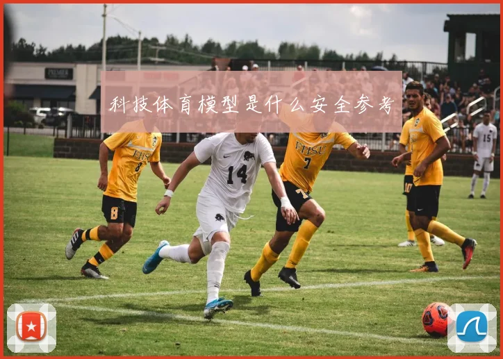 科技体育模型是什么安全参考