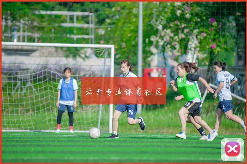 云开专业体育社区