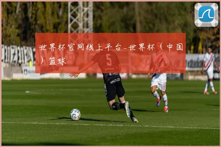 世界杯官网线上平台_世界杯（中国）篮球