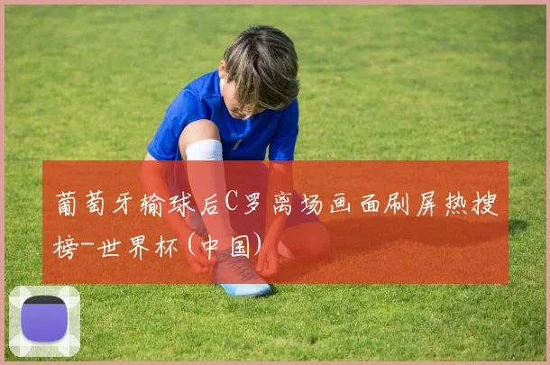 葡萄牙输球后C罗离场画面刷屏热搜榜-世界杯(中国)