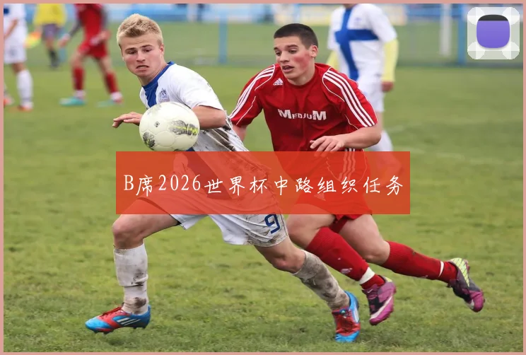 B席2026世界杯中路组织任务