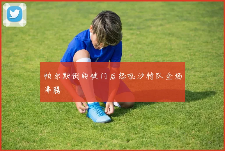 帕尔默倒钩破门后怒吼沙特队全场沸腾
