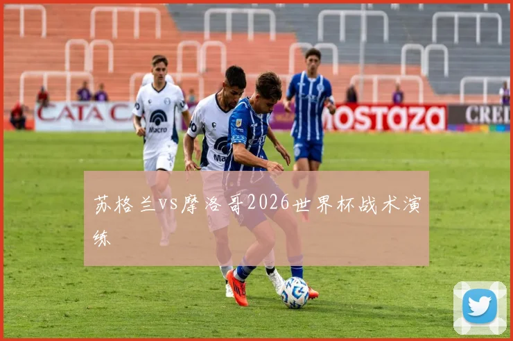 苏格兰vs摩洛哥2026世界杯战术演练