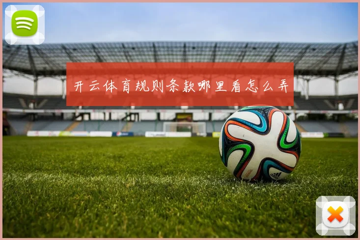 开云体育规则条款哪里看怎么弄