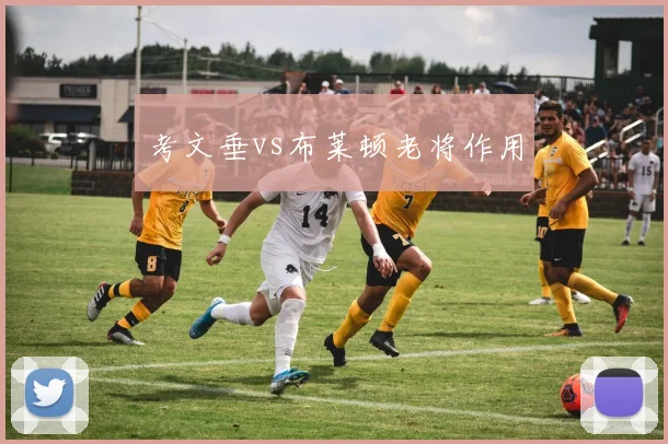 考文垂vs布莱顿老将作用